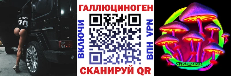 сколько стоит Алзамай Псилоцибиновые грибы Cubensis